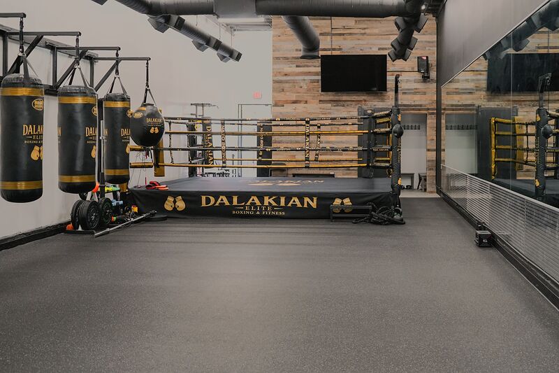 The training floor: dark rubber mat, heavy bags printed DALAKIAN on the left wall, the ring with a DALAKIAN ELITE apron at the far end and a mirrored wall on the right