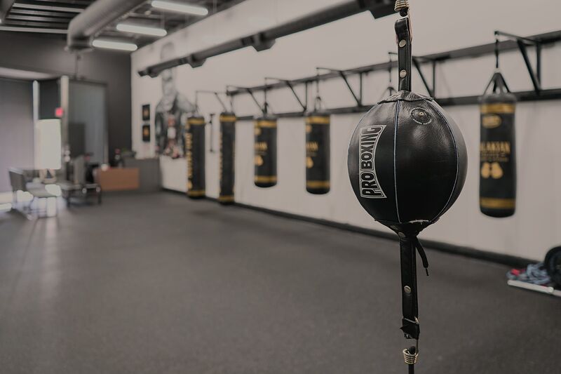 A black leather double-end bag marked PRO BOXING on its floor-to-ceiling cords, the bag wall out of focus behind it